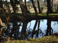 /album/paisagens-da-serra/pqaaaacp5rxpkgito-xjwuefdi5r-emc4cg55630pimnhhkschofcxqx-qva3zw7n7pvdzarrg5kdttk-wjlaec-fsqam1t1uhjrekivxwztt8byhmjvnl1w74ru-jpg/