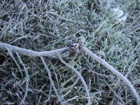 /album/paisagens-da-serra/pqaaabczafgc6-4wjkwd5n3nun5zhd3zzcxuhf3i28zkmeqevngag1vtv6abqxxwx-rppm-ljlixky0idpzu07fkb7uam1t1ufdc6th4djcdb-fcxcfadzojbua0-jpg/