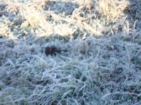 /album/paisagens-da-serra/pqaaacmxaonnrnexp-aupds6h31vq42y66gjgdxdbl6q9xxfwyrm3paooo2ne3kos5ugf4a0nqfyaassgpkeywix5biam1t1unfmy5iuj1oxi7p-gq-gthjwjeam-jpg/