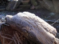 /album/paisagens-da-serra/pqaaadt-56mjgmt0lyovoe9meq-6-glt1iteandlvznxvaykuki4-34iksgu-glkqvgfs4romdvcynri7w4eij0-9cam1t1ubuyrpzyqfx73yaxuljw2owmrgev-jpg/