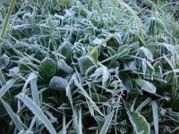 /album/paisagens-da-serra/pqaaafvsomnop-57gpo7unk-i3qnihp4z7l56inn-gl84my7-duclvqivpxxwbc4mvl3rubggzcqjs-joambqol4ouiam1t1ujkmitw3djhgv6m05hf10mafnlie-jpg/